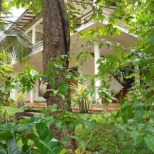 https://yonara-green-rest.kandyhotelsnow.com